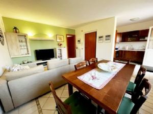 Lido di Camaiore, appartamento  nuovo  con terrazza abitabile : appartamento In affitto e vendita  Lido di Camaiore